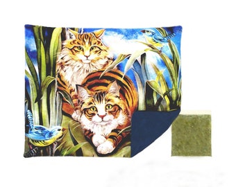 Catnip REFILLABLE MAT 10.5 x 9 inches  with Fleece Back plus Catnip Bag Two Longhaired Cats