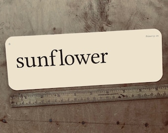 XL Sunflower flash card