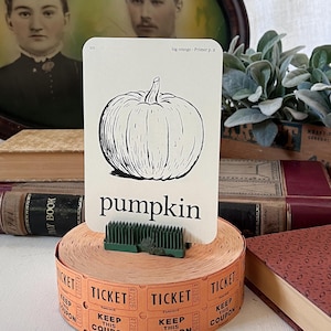 May include: A black and white illustration of a pumpkin on a white card with the word "pumpkin" printed below it. The card is on a roll of orange tickets with the word "TICKET" printed on them.