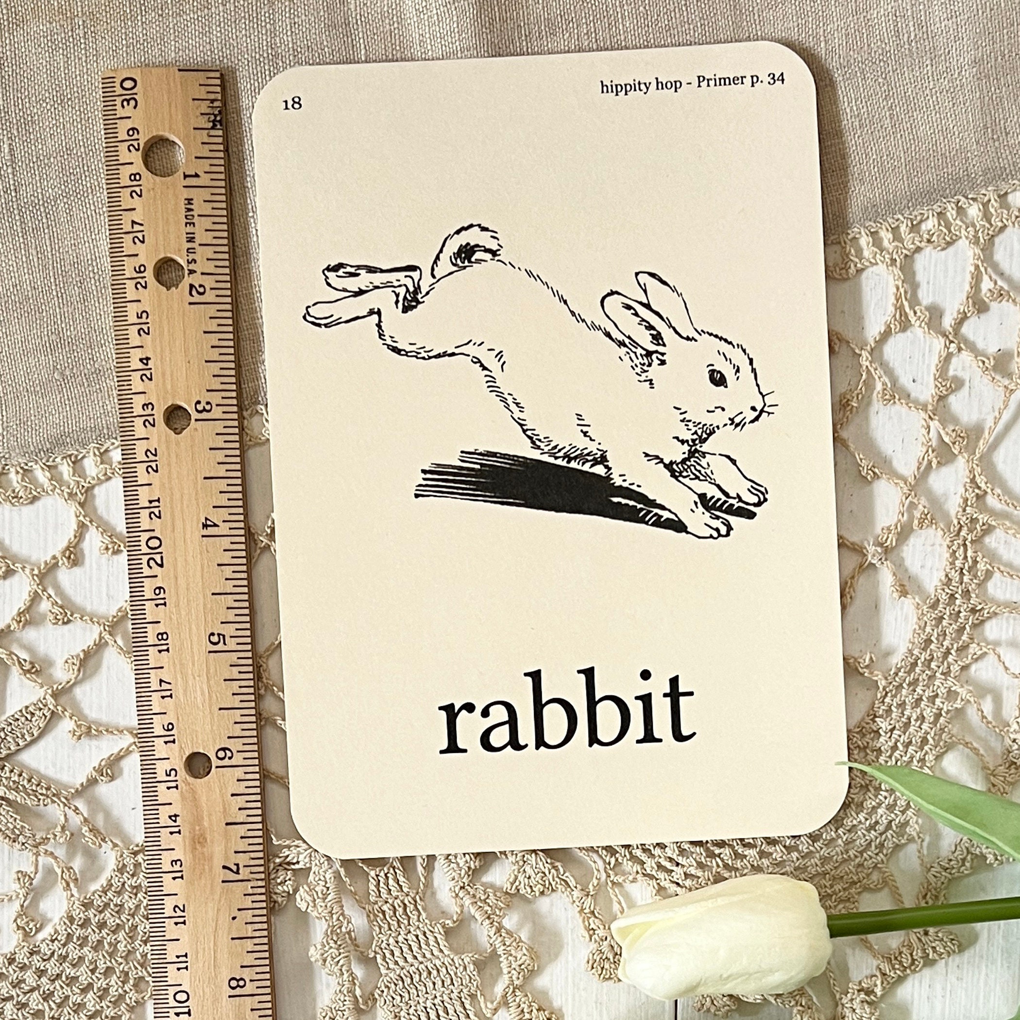 Rabbit Flash Card - 4 7/8