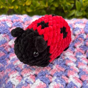 Cute Ladybug Plush, Small Lovebug Plush, Ladybug Display, Kids Ladybug Toy, Spring Insect, Cute Kids Toy, Ladybug Friend