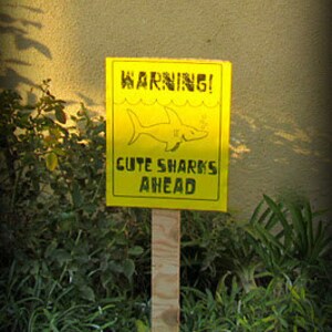 CUTE SHARK Combo Party Pack PDF: Shark Party Sign & Party Favor Tags Warning Cute Sharks Ahead sign and Thanks Chums tags image 2