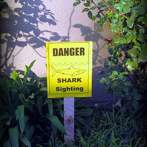 PDF: Shark Party Sign Danger Shark Sighting Digital File DIY Printable Shark Week image 1