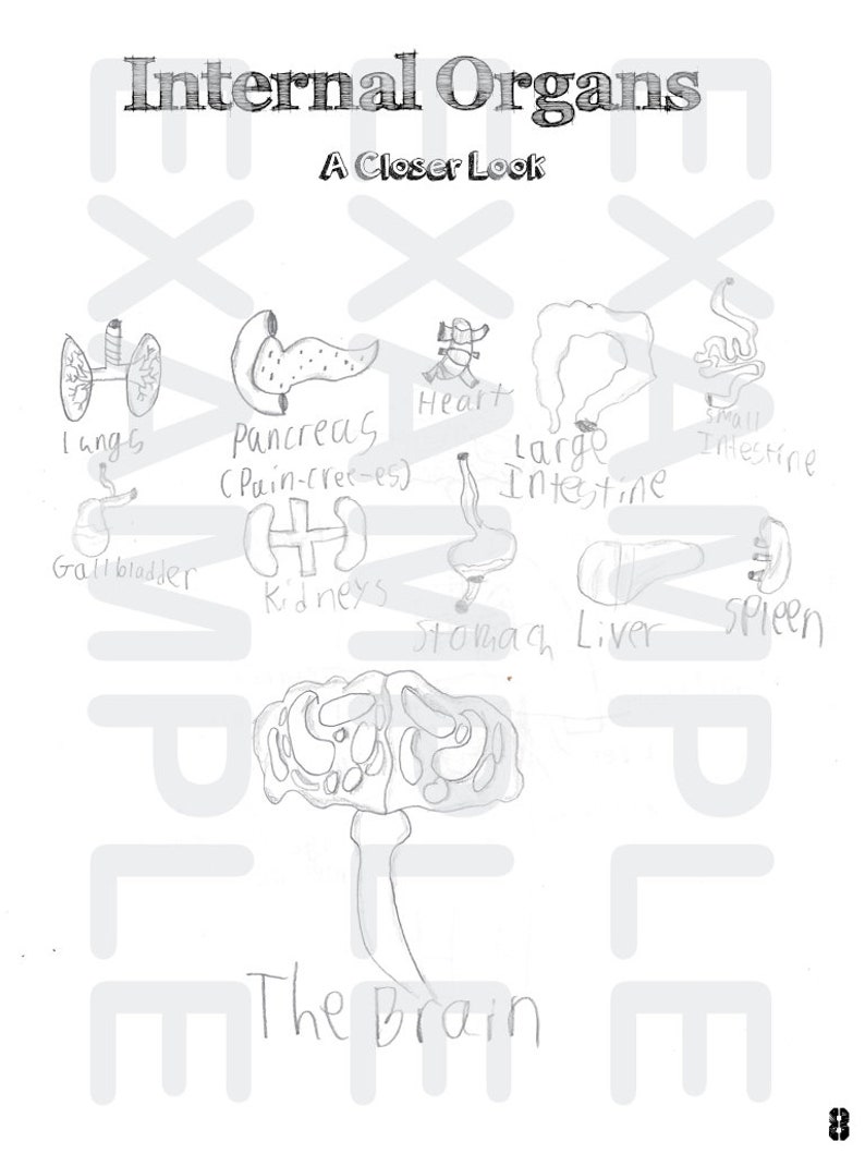 PDF: Anatomy Physiology Coloring and Activity Book - Etsy