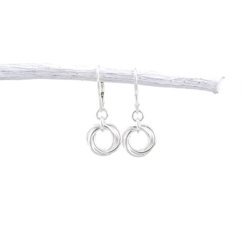 May include: A pair of silver-colored earrings. Each earring features three interlocking circles suspended from a lever-back clasp. The earrings are displayed on a white, painted branch against a white background.