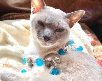 May include: A light gray cat with blue eyes wearing a silver and blue beaded necklace with coin charms.