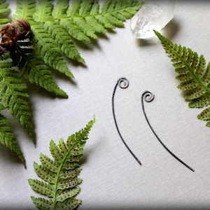 May include: A pair of silver earrings with a delicate spiral design. The earrings are displayed on a white surface with green fern leaves.