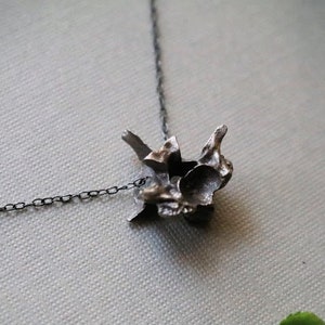 Hydra // snake vertebrae necklace