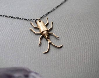 Longhorn // brass beetle necklace