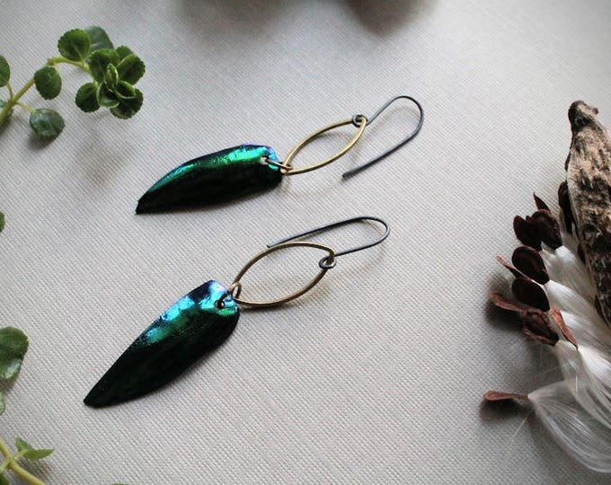 Flight // emerald green beetle wing earrings