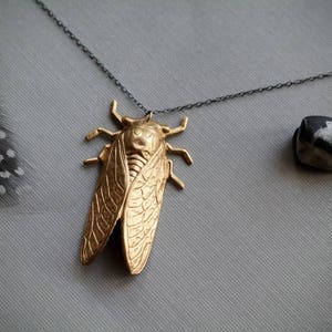 17 Years // raw brass cicada necklace