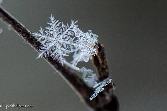 Snowflake Ice Crystals Winter Magic Photograph Or Greeting Etsy