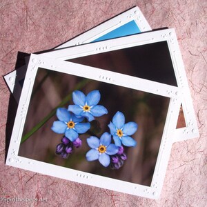 Ice Flowers, Nature's Magic, Photograph or Photograph on Greeting Card image 3