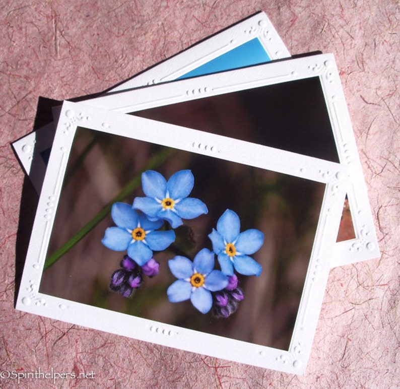 Ice Flowers, Nature's Magic, Photograph or Photograph on Greeting Card image 3