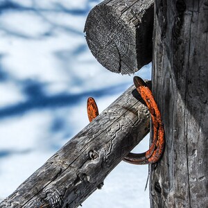 Montana Fence, Lucky Horseshoe, So Montana, Photograph or Greeting card
