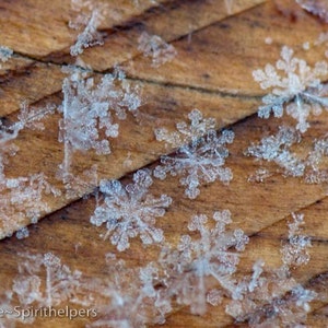 Tiny Snowflakes, Winter Magic, Stars from Heaven, Fine Art Marco Photography, Montana Winter, an Intimate Peak, Photograph or Greeting card