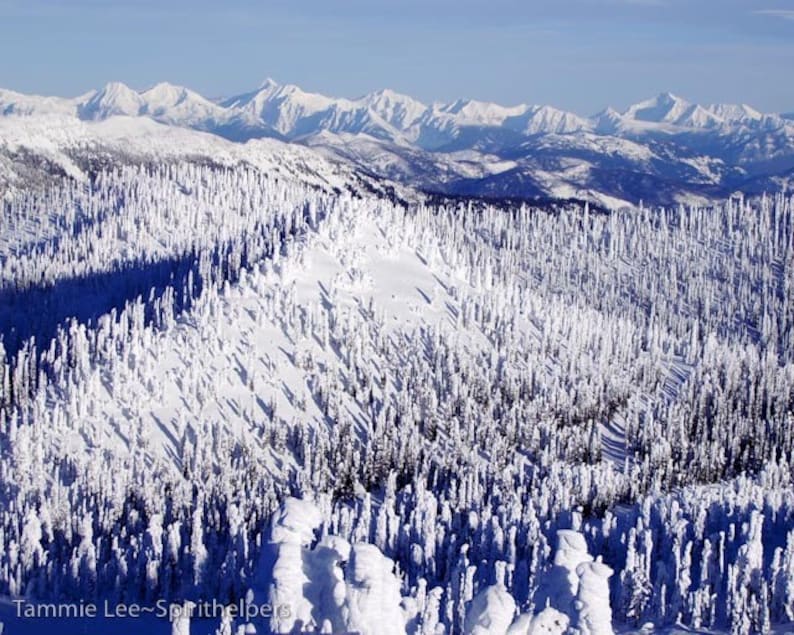 Whitefish Mountain Resort, Big Mountain, Montana Snow Ghosts, Rocky
