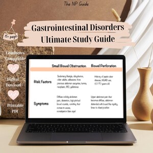May include: A laptop computer screen displaying a study guide for gastrointestinal disorders. The guide includes information on small bowel obstruction and bowel perforation, with sections on risk factors and symptoms. The laptop is on a table with a vase of dried flowers in the background.
