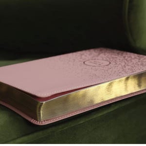 Personalized NIV, Bible for Teens, Thinline Edition, Leathersoft, Pink, Red Letter, Comfort Print