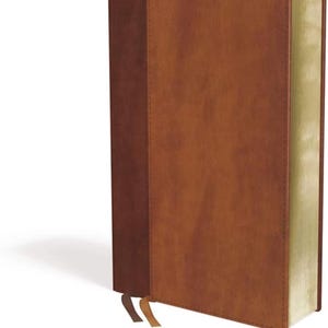Biblia compacta personalizada NIV, letra gigante, suave como la piel, marrón, letra roja, impresión cómoda