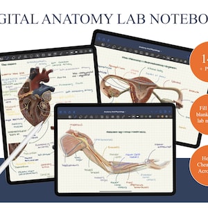 Digital Anatomy and Physiology Lab 1 Notebook - Pre Health Profession