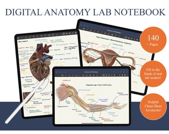 May include: A digital anatomy lab notebook with 140 pages. The notebook features three different anatomical illustrations of the heart, female reproductive system, and the muscles of the forearm. The notebook is displayed on a tablet with a stylus pen.