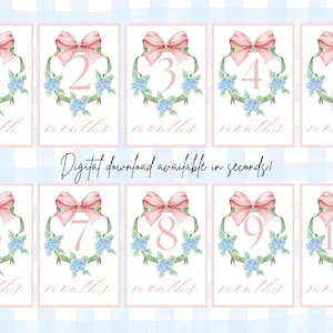 Cartes d'étape mensuelles téléchargeables pour bébé fille hortensia bleu