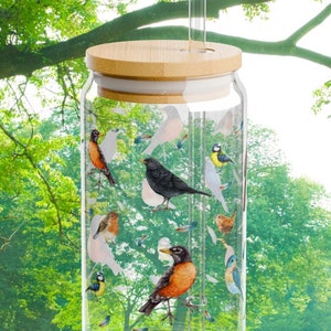 Copo Sipper para amante de pássaros, 16 onças - Copo de café gelado - Presente para ela - Presente para mãe - Presente para amante de pássaros