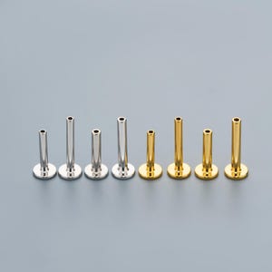 以下が含まれることがあります： シルバーとゴールドトーンのボディジュエリースタッドの品揃え。スタッドは、平らな円形のベースと、中空のトップが付いた長く円筒形のポストを備えています。ジュエリーは灰色の背景に対して一列に並んでいます。