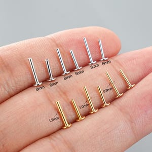 Pode incluir: Uma coleção de piercings labiais prateados e dourados. Os piercings variam em tamanho, com medidas de 6 mm, 8 mm, 0,8 mm, 1,0 mm e 1,2 mm. As joias são exibidas em um fundo claro.