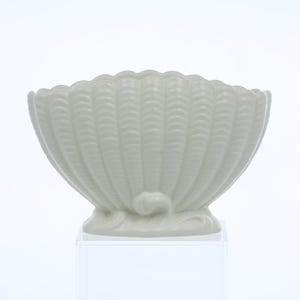 May include: A white ceramic seashell-shaped bowl. The bowl has a textured, ridged exterior and a scalloped rim. The base features a decorative, curved design. The bowl is displayed on a clear, square stand.