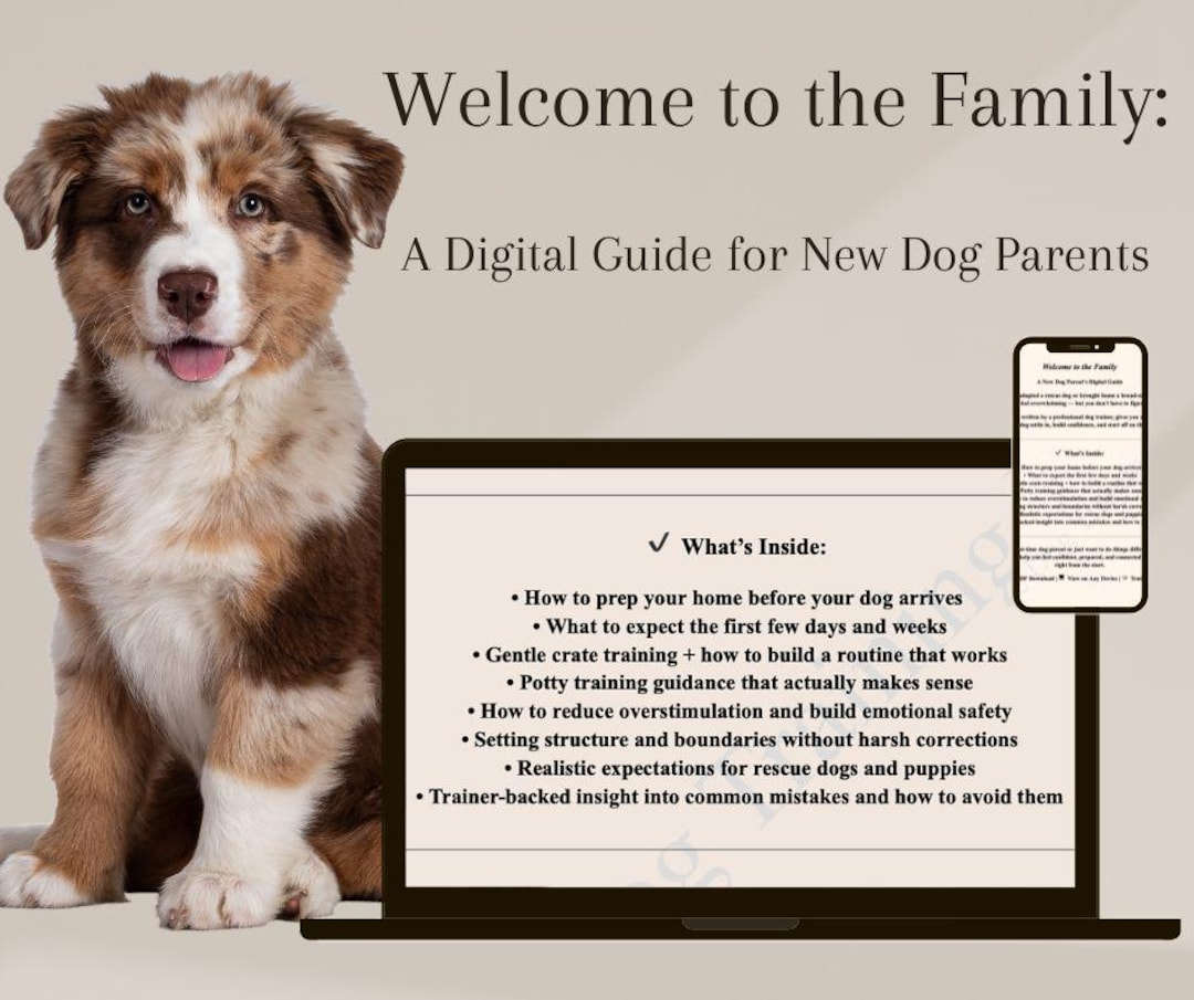 Dog Trainer Potty Training A Shelter Dog Dog Trainer How To House