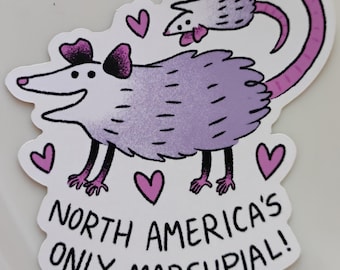 May include: A sticker featuring a cartoon opossum in shades of purple and black, with a pink tail and a baby opossum hanging from it. The text reads "NORTH AMERICA'S ONLY MARSUPIAL!" with pink heart accents.