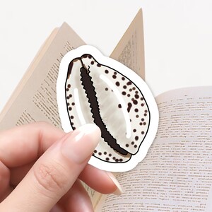 Kauri Muschel Aufkleber, Kindle Aufkleber, Bücherwurm Aufkleber, E-Reader, Süßes Cafe, Buch-Liebhaber-Geschenk, Süßes Aufkleber, Laptop Aufkleber, Ozean Aufkleber