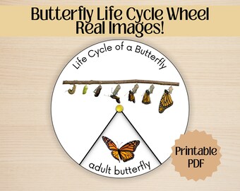 Butterfly Life Cycle Wheel Real Images Montessori Science Activity Unit Study Kindergarten Preschool Curriculum Homeschool Printable Monarch