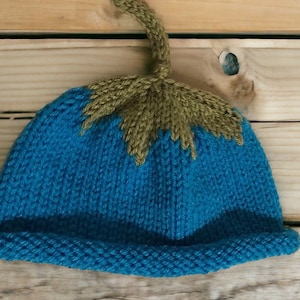 Bright Blueberry Baby Hat, Blueberry Newborn Hat, Blueberry Toddler Hat, Fruit Hat, Roll Brim Blueberry Hat, Hand Knit Beanie