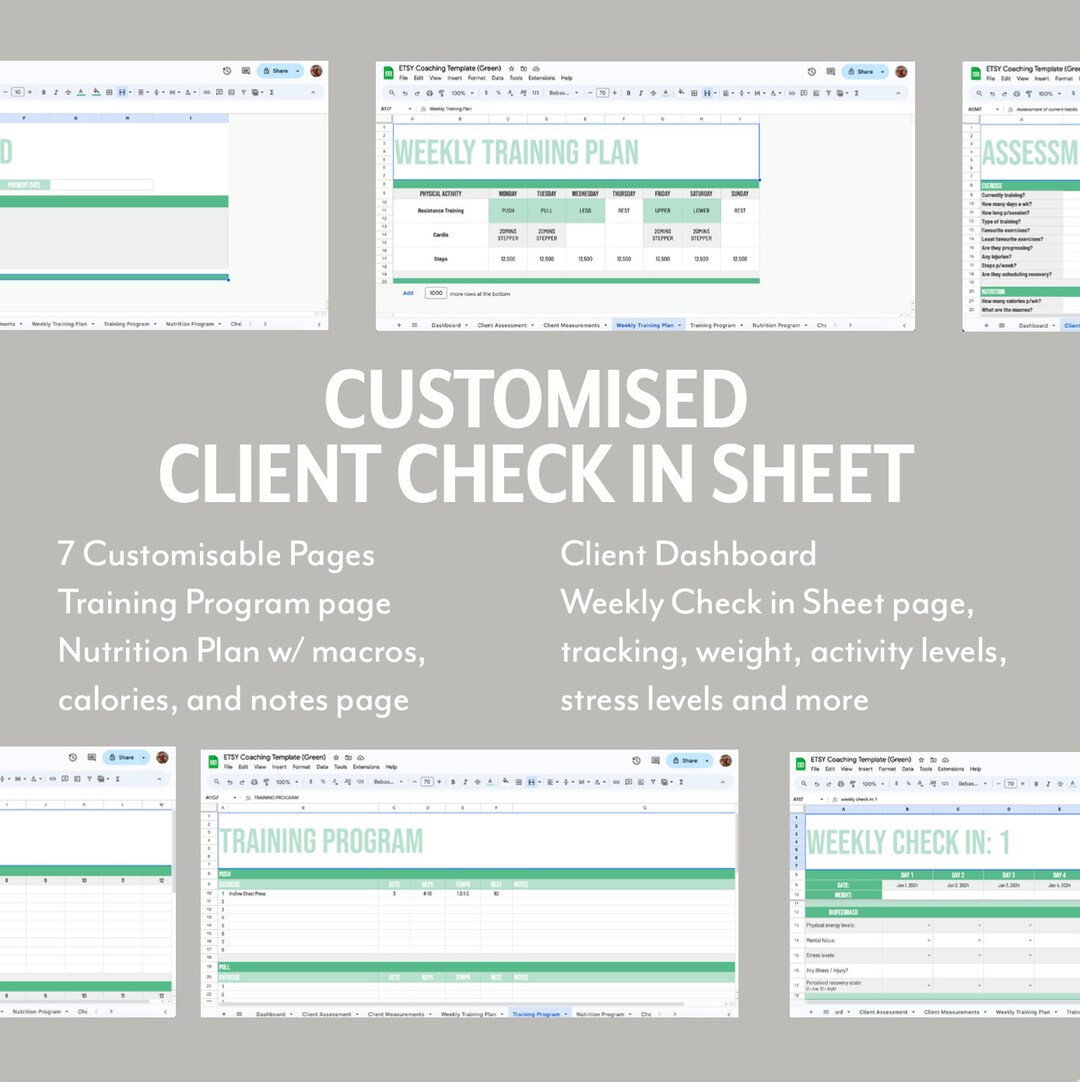 Online Coaching Template for Online Client Coaching for Online Clients ...