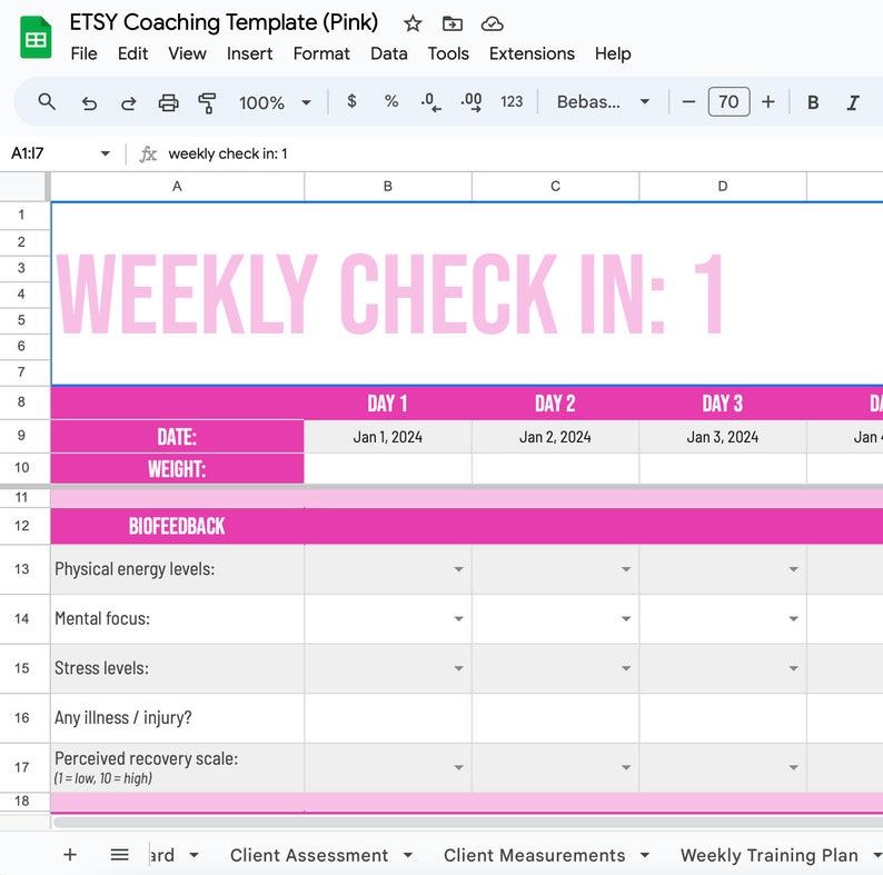 Online Coaching Template for Online Client Coaching for Online Clients ...