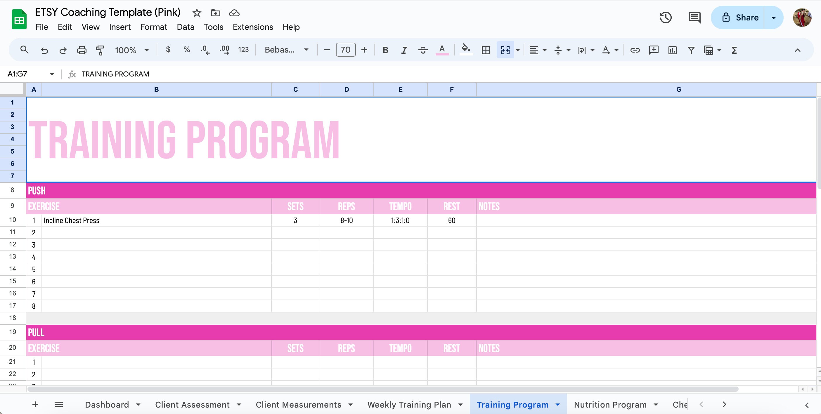 Online Coaching Template for Online Client Coaching for Online Clients ...