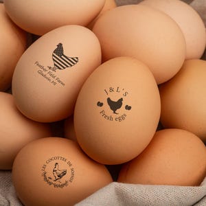 Eistempels Gepersonaliseerde aangepaste eierstempel, idee kippenhok, kippeneistempel, boerderijstempel, kippencadeaus, kip mini-eierstempel voor boer