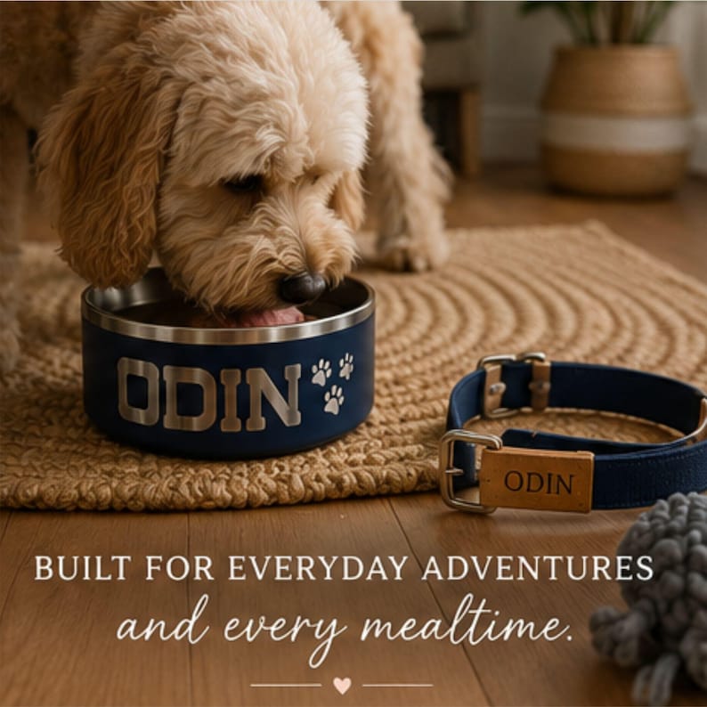 May include: A navy blue stainless steel pet bowl with the name ODIN and three paw prints engraved on the side, accompanied by a matching navy blue fabric collar with a tan leather tag featuring the name ODIN and a silver metal buckle.