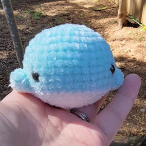 May include: A small, crocheted blue and white whale plush toy with black eyes. The whale is sitting in the palm of a hand.