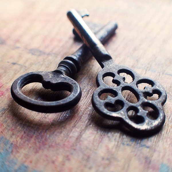 Rusted Gardens Antique Key Duo