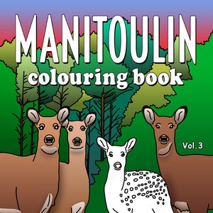 Manitoulin Colouring Vol. 3 eBook Coloring Books, Coloring Pages, Adult Coloring Books, Adult Coloring Pages, Coloring Books for Adults image 1