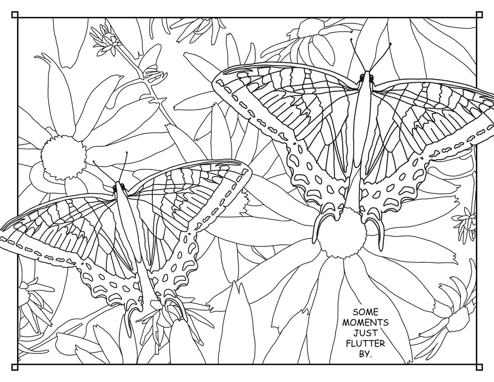 Manitoulin Colouring Ebook Vol 2 Coloring Books Coloring Etsy