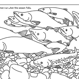 Manitoulin Colouring Vol. 3 eBook Coloring Books, Coloring Pages, Adult Coloring Books, Adult Coloring Pages, Coloring Books for Adults image 4