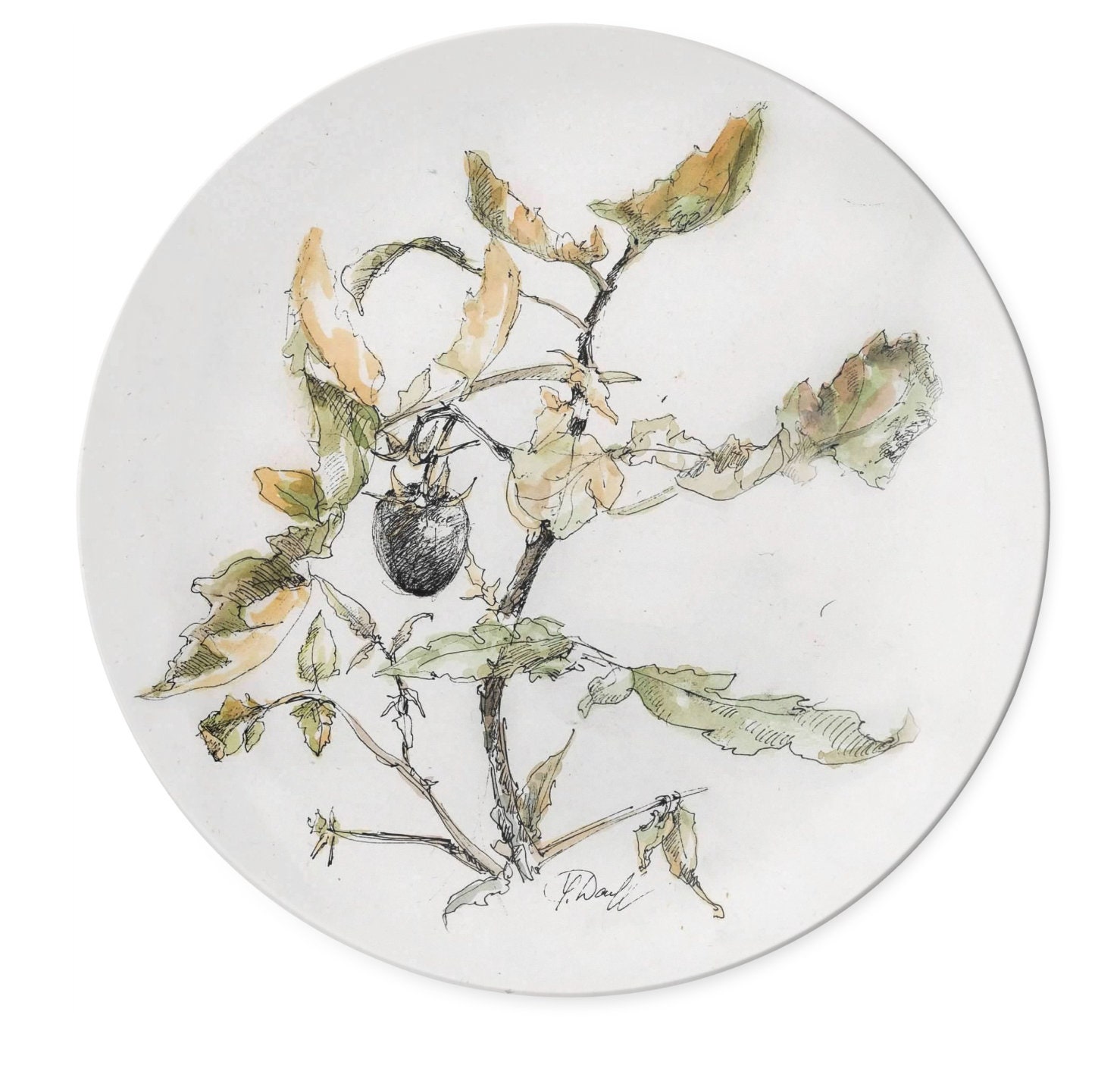 Glass Travel Mug Shrooms And Grass Art | Yevgenia Davidoff's Botanical  Portraits and Artwares