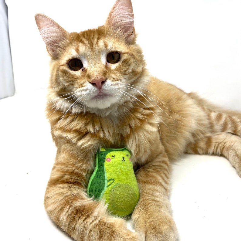 Avo-Catos The Avocado Catnip Toy Set of 2 image 3