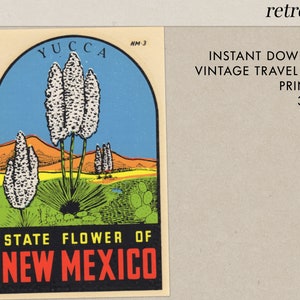 May include: Vintage travel decal featuring a stylized illustration of the yucca plant, the state flower of New Mexico. The decal is printed in a retro style with a blue sky, orange mountains, and green foliage. The text "YUCCA NM-3 STATE FLOWER OF NEW MEXICO" is printed on the decal.