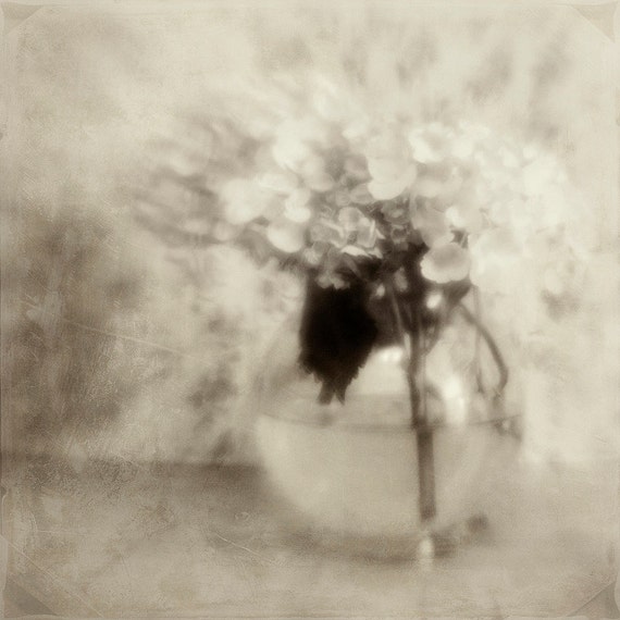 Items similar to Black & White Hydrangea Textured Fine Art Photo 8x8